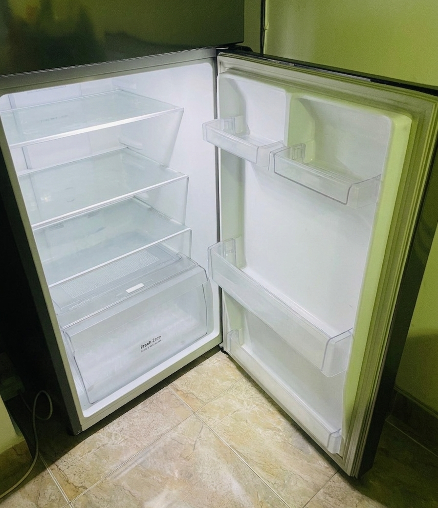 LG 260L Smart Inverter Frost Free Shiny Steel Fridge
