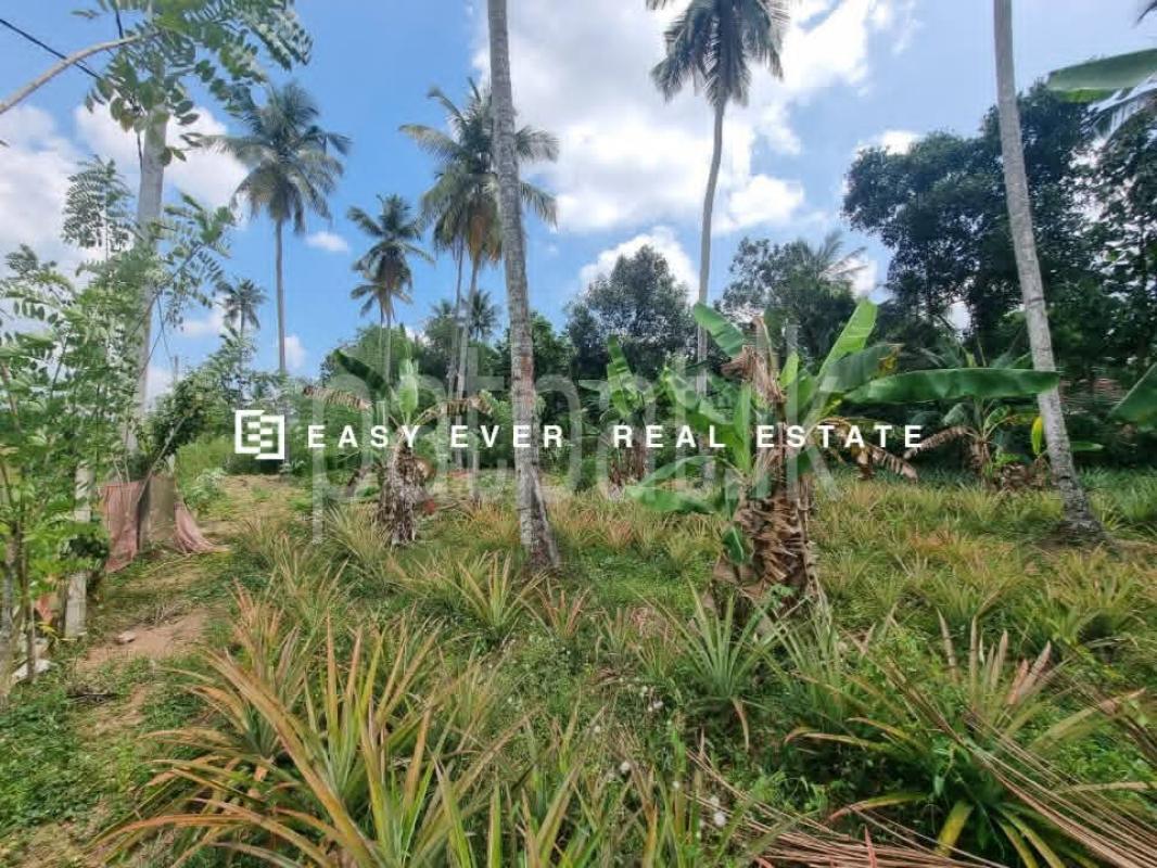 Residential Land for Sale in Mirigama