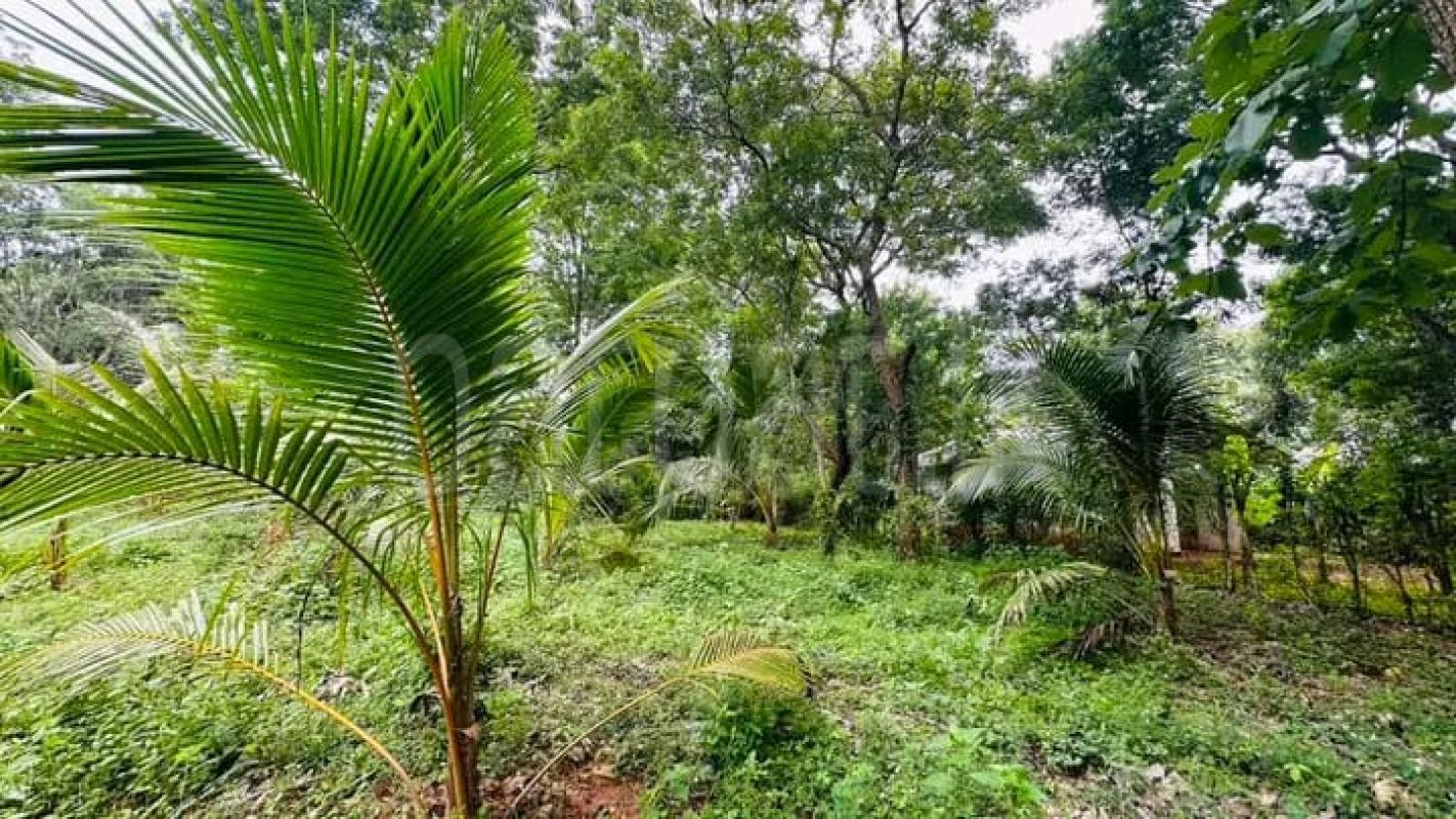 Residential Land for Sale in Badulla