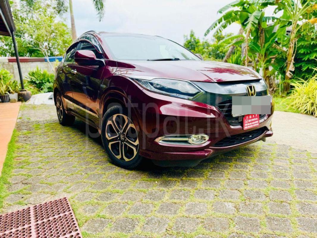 Advertisement image 3