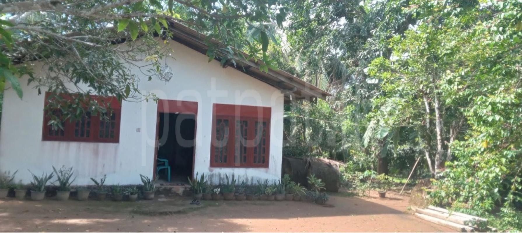 House for Sale in Galle ads-image-1