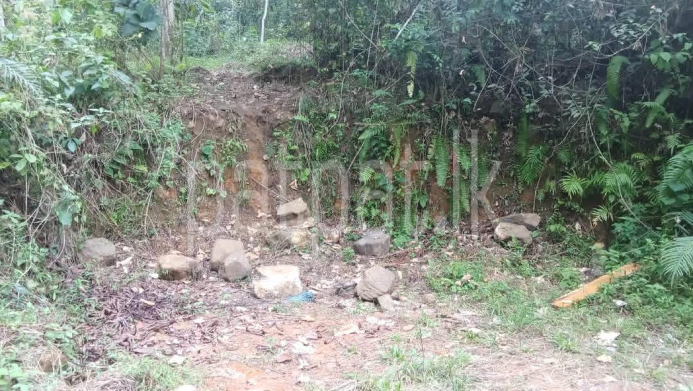 Agricultural Land for Sale in Deniyaya