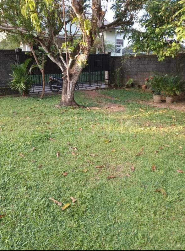 Residential Land for Sale in Nugegoda ads-image-1