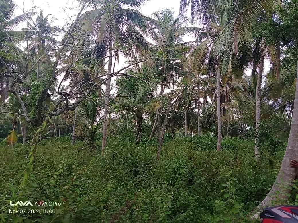 Agricultural Land for Sale in Pothuhera