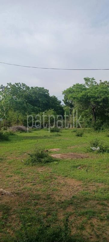 Residential Land for Sale in Kataragama