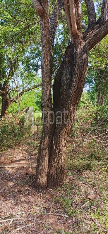 Residential Land for Sale in Kataragama