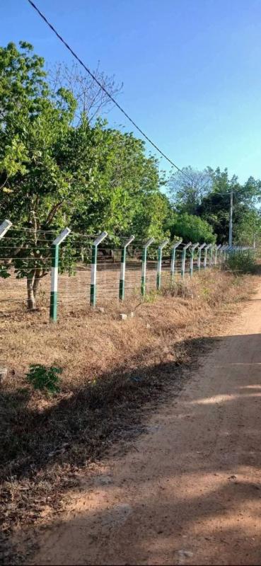 Residential Land for Sale in Tissamaharama ads-image-1