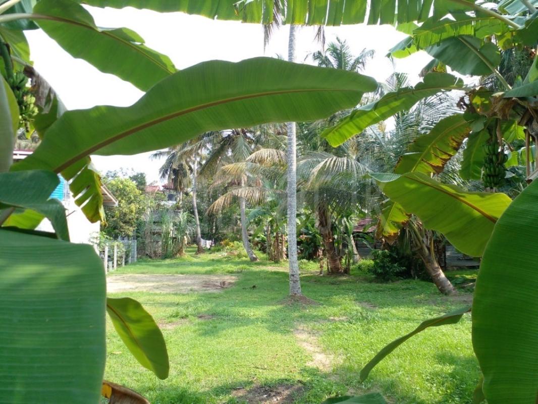 Commercial Land for Sale in Ja-Ela ads-image-1