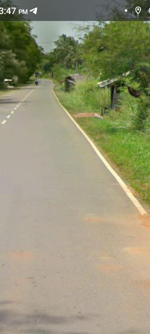 Commercial Land for Sale in Tanamalwila