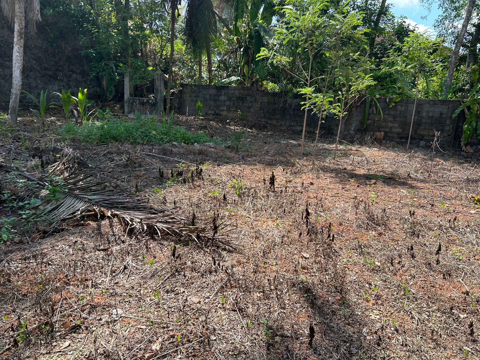 Commercial Land for Sale in Homagama