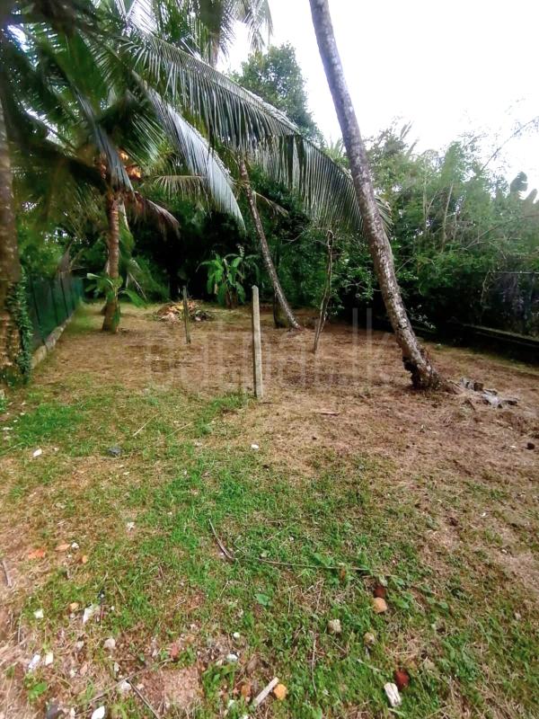 Residential Land for Sale in Makola