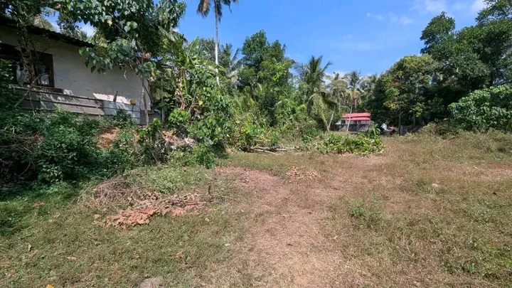 Commercial Land for Sale in Weliveriya