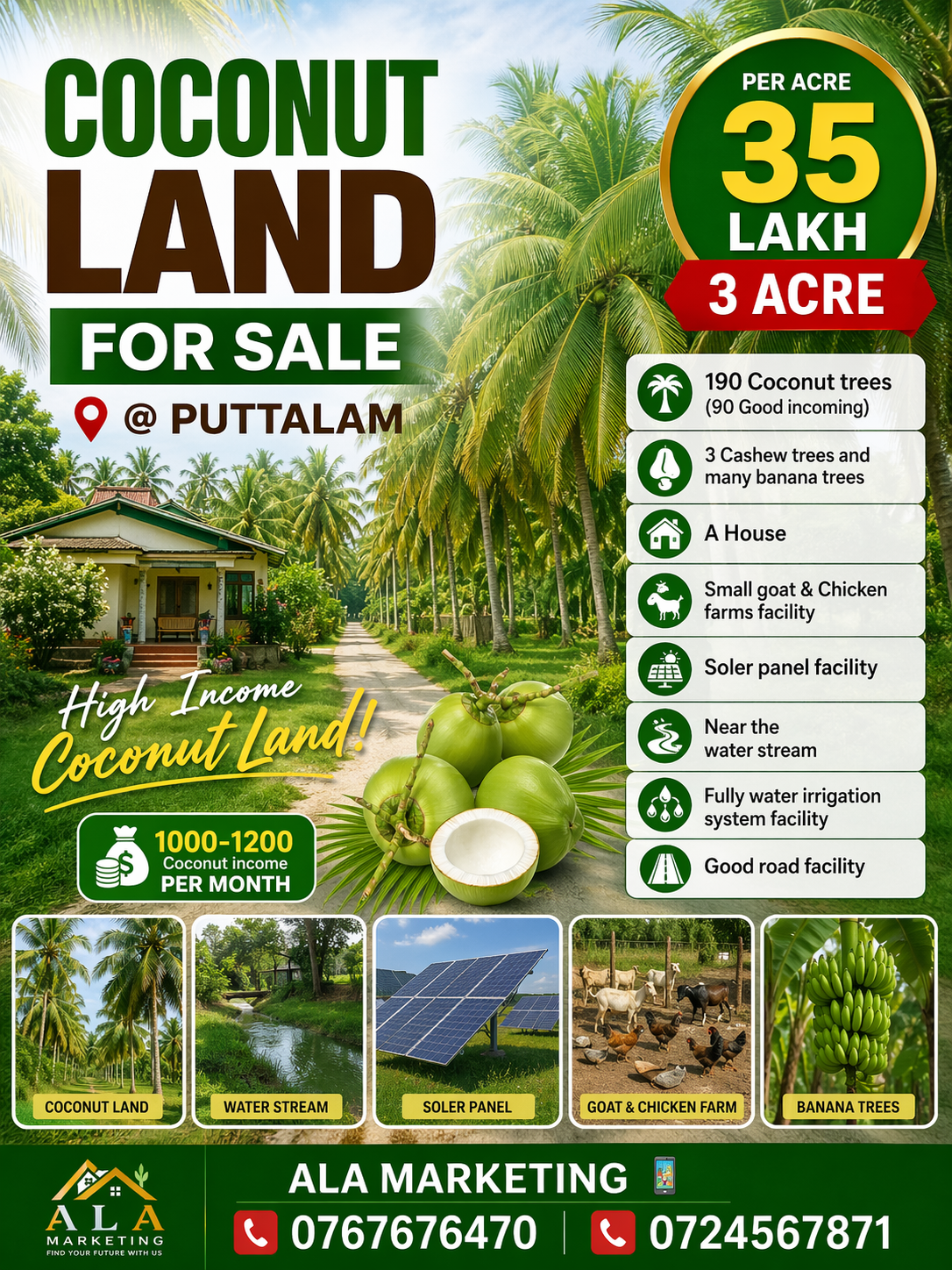 Agricultural Land for Sale in Puttalam