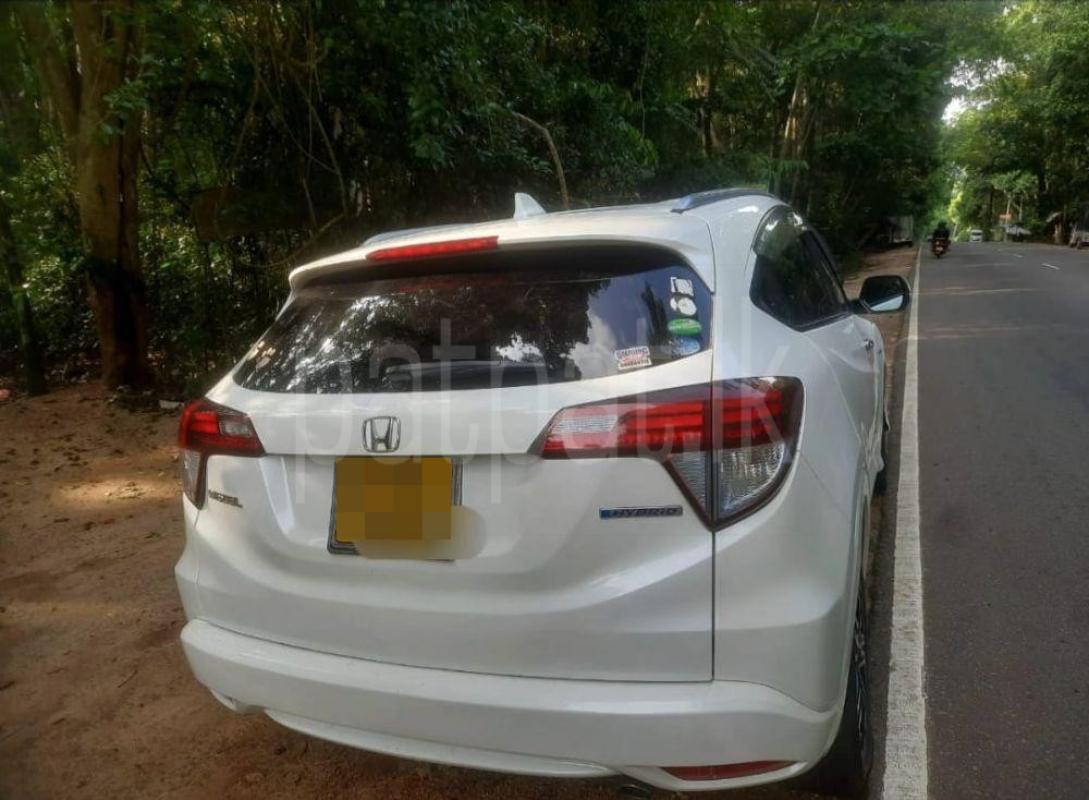 Advertisement image 3