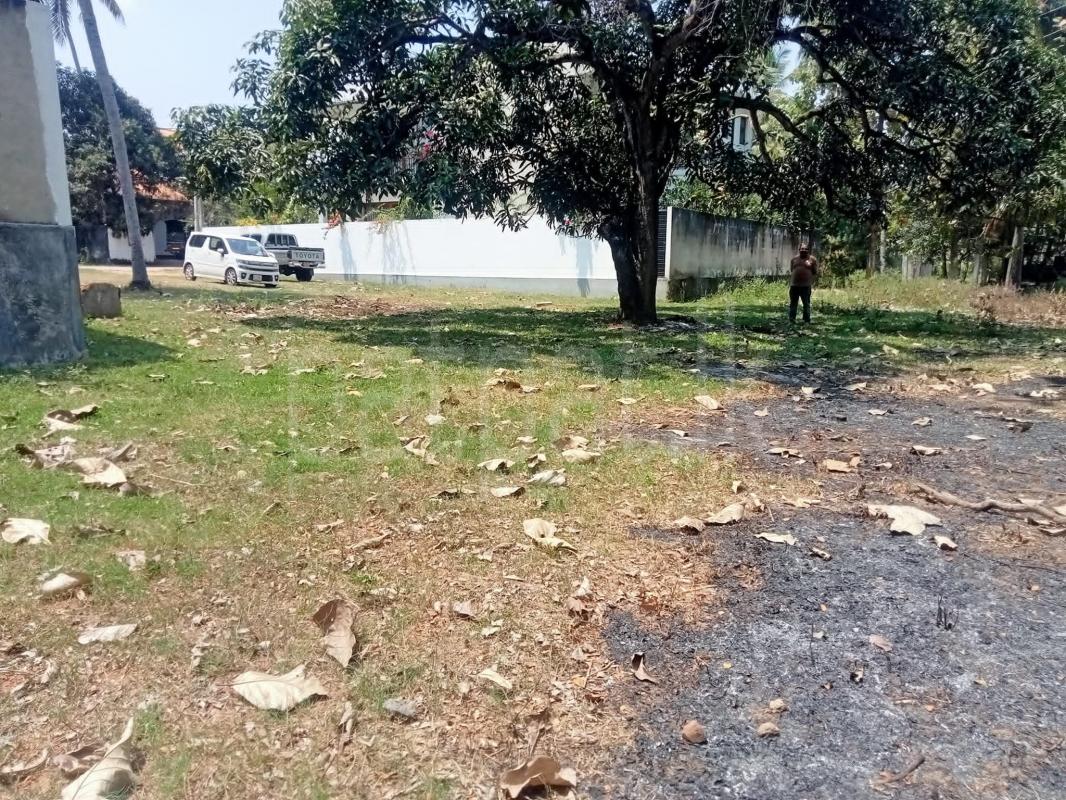 Residential Land for Sale in Kurunegala