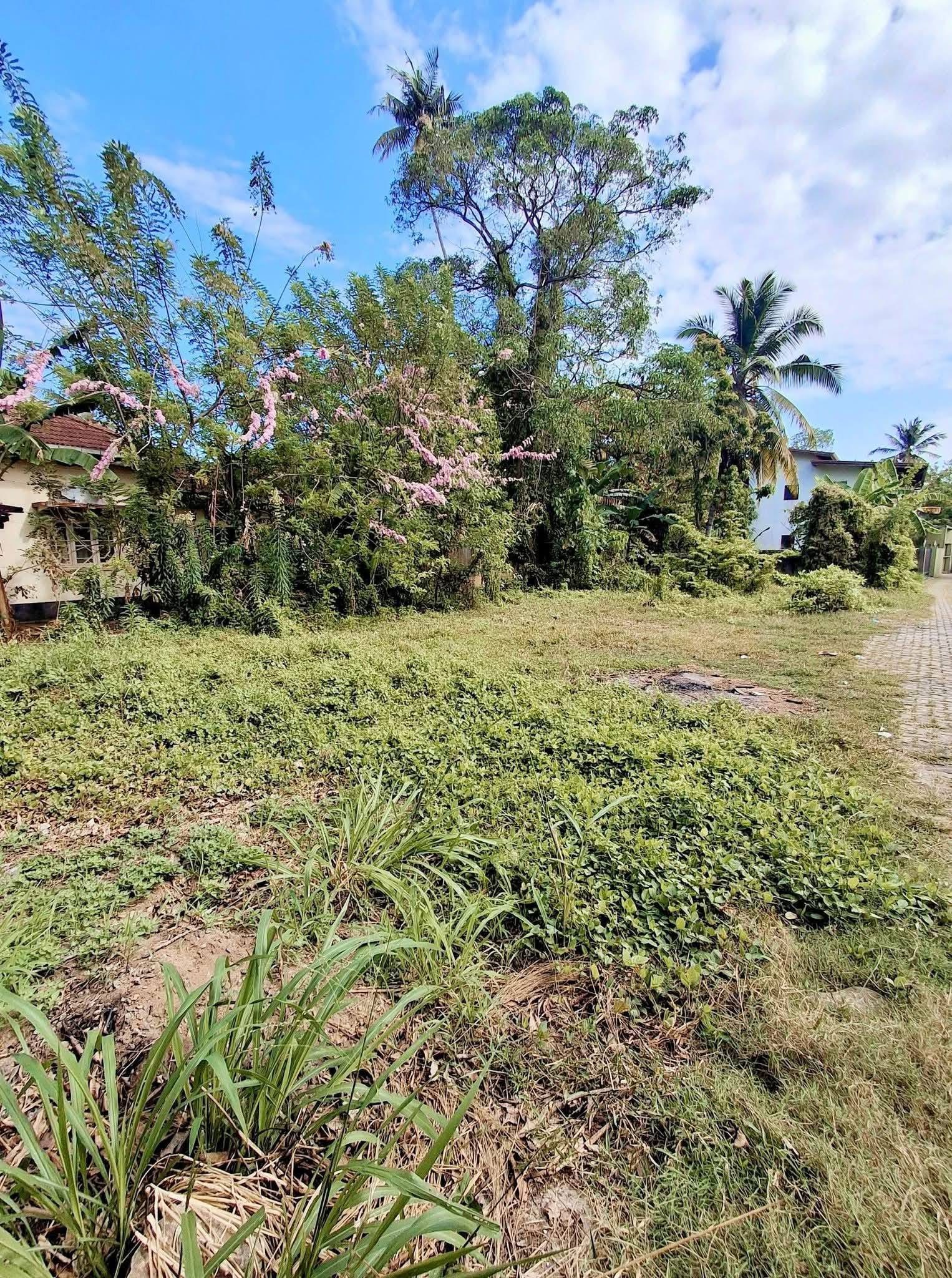Agricultural Land for Sale in Panadura