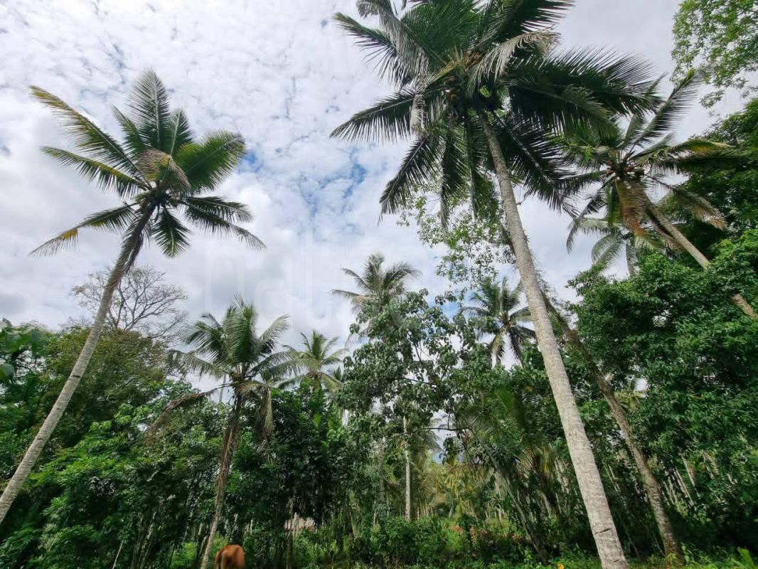Residential Land for Sale in Padukka