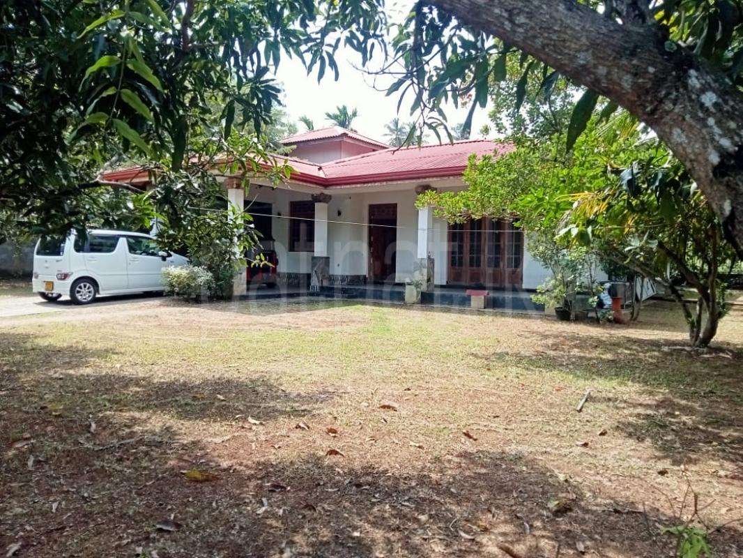 premium-listing-image