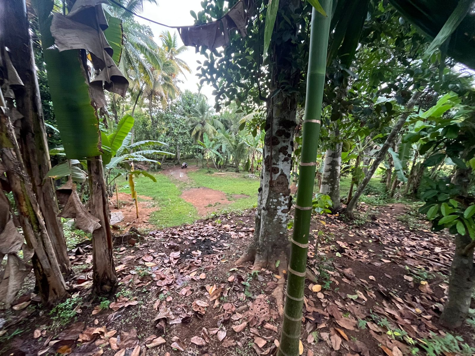 Commercial Land for Sale in Rambukkana