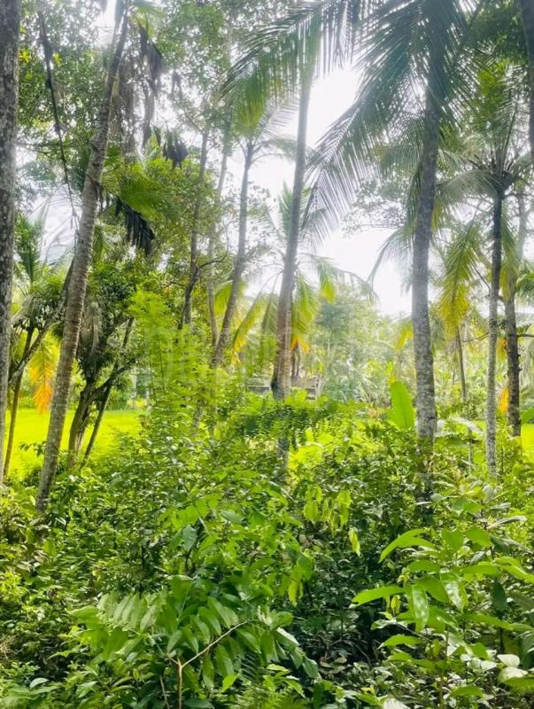 Agricultural Land for Sale in Weligama