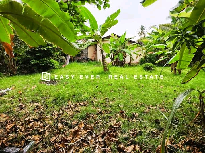 Commercial Land for Sale in Wattala