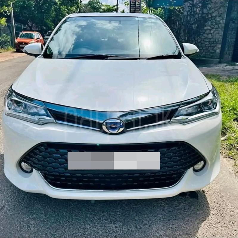 Advertisement image 3