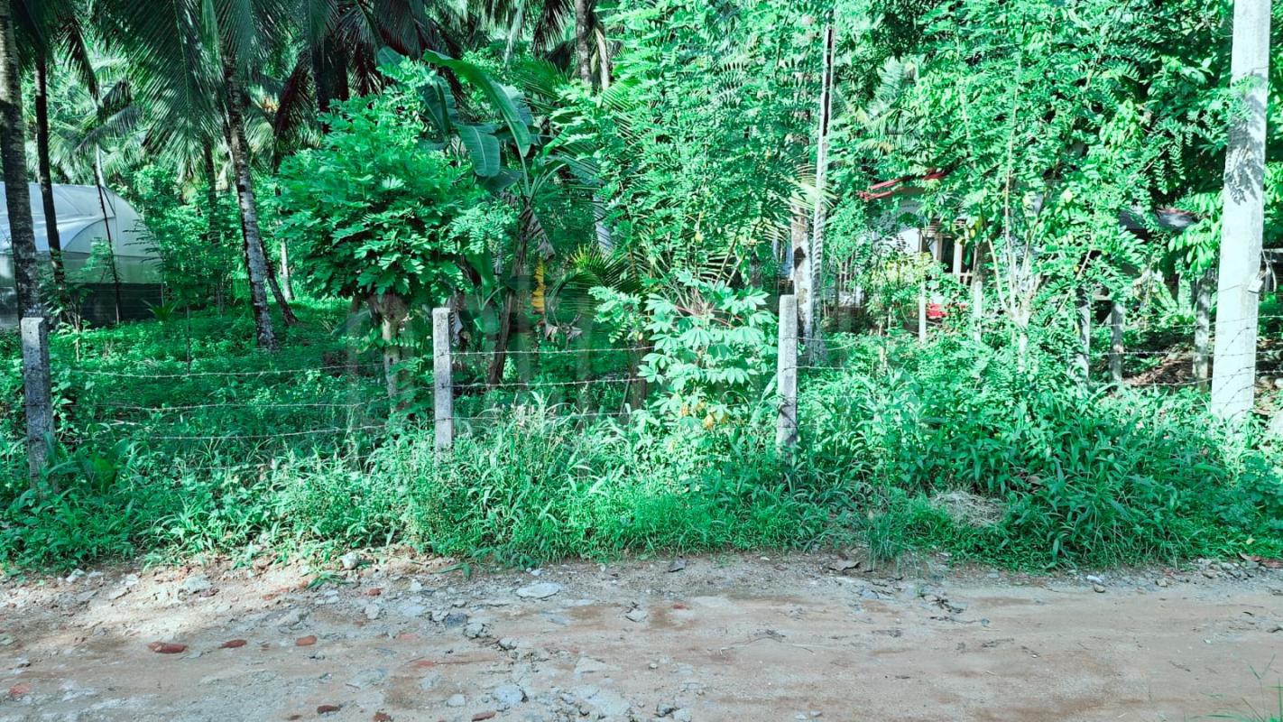 Agricultural Land for Sale in Warakapola