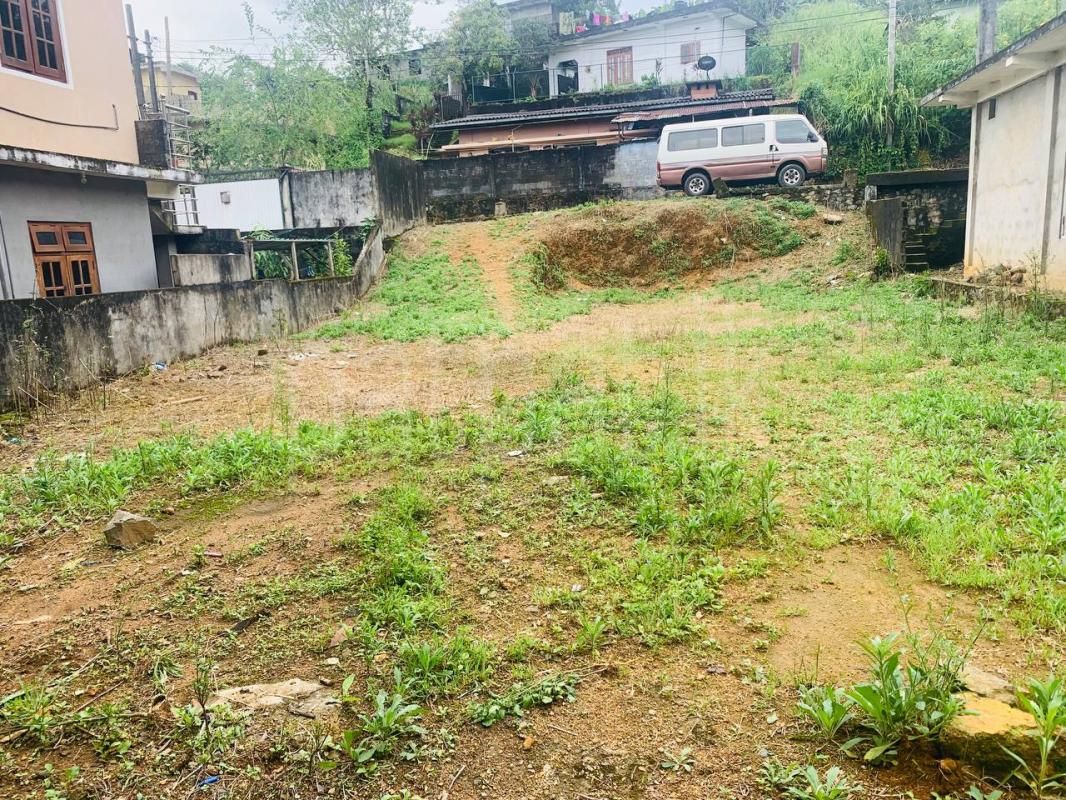 premium-listing-image