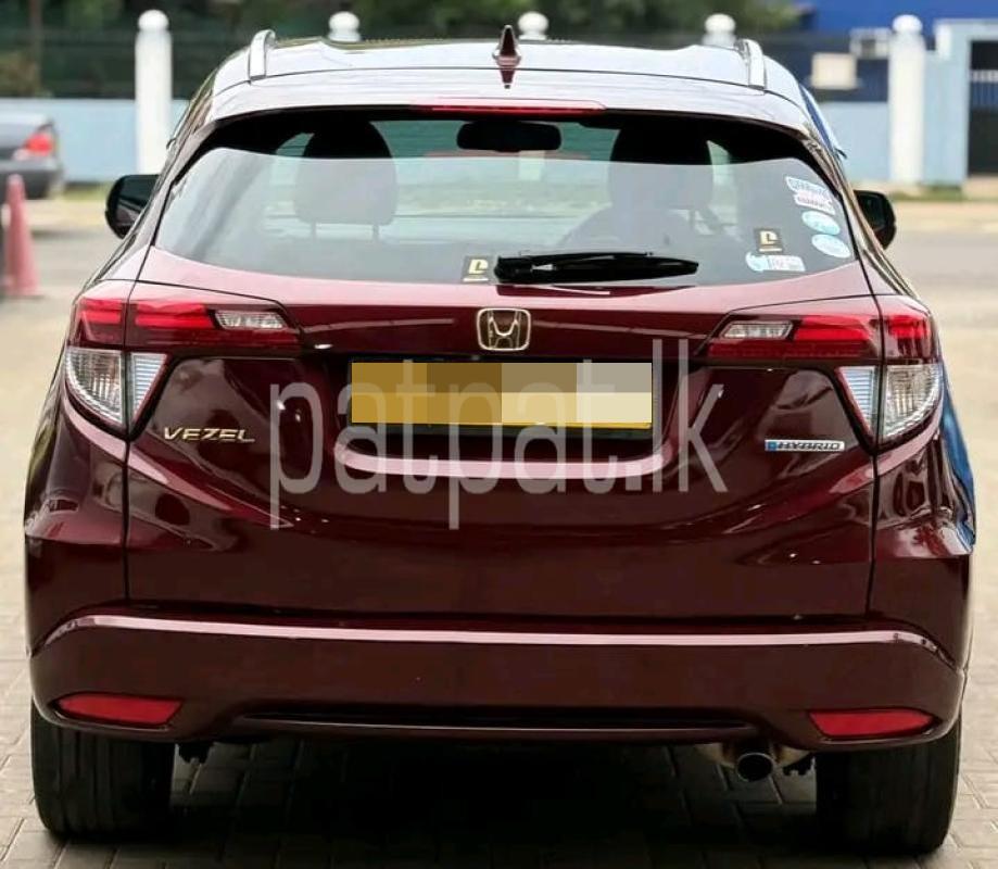 Advertisement image 3