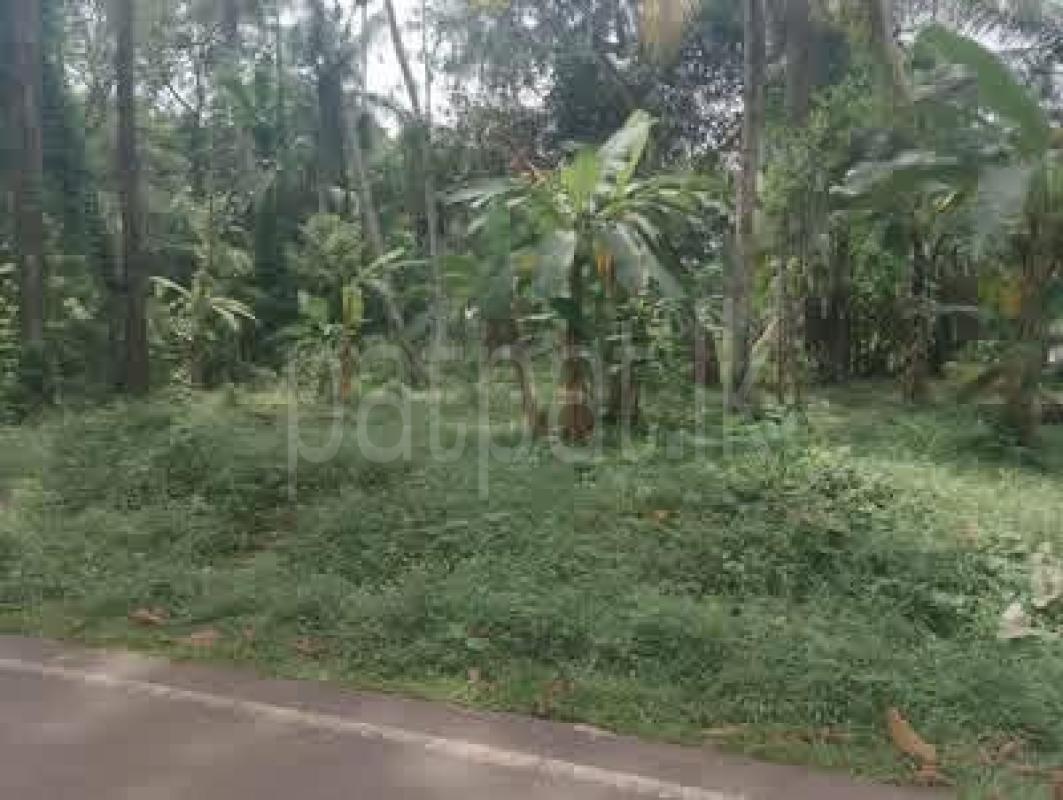 Residential Land for Sale in Divulapitiya