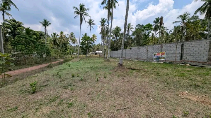 Commercial Land for Sale in Dunagaha