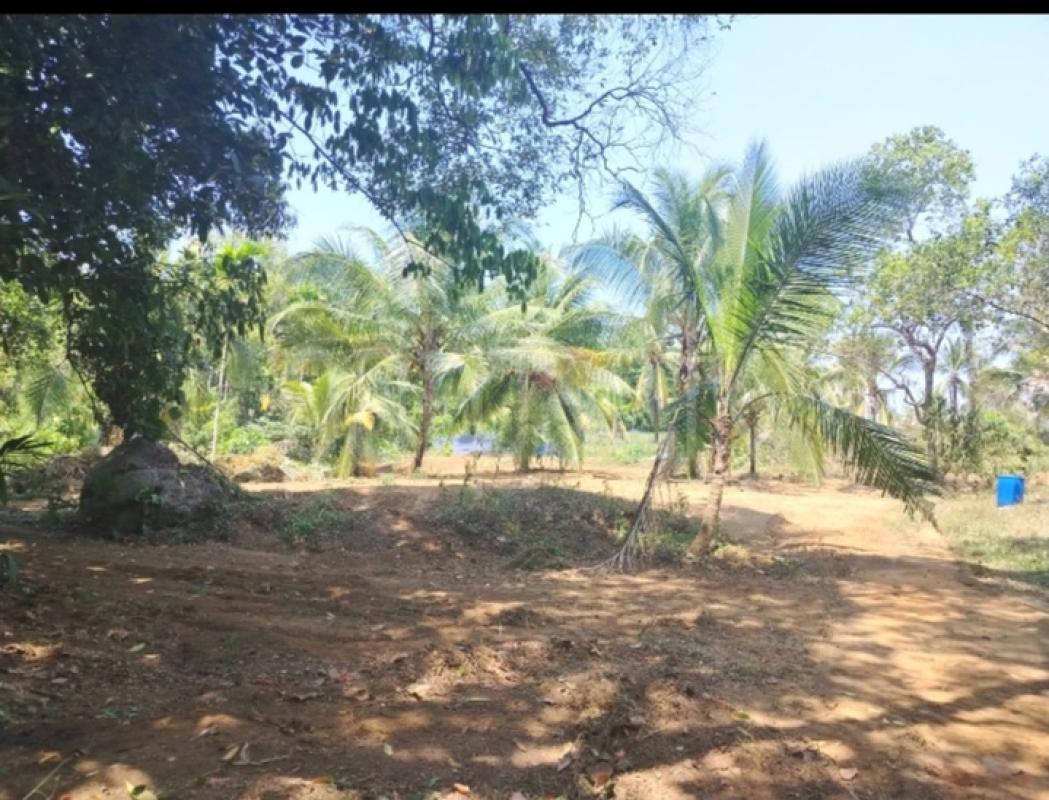Residential Land for Sale in Dompe