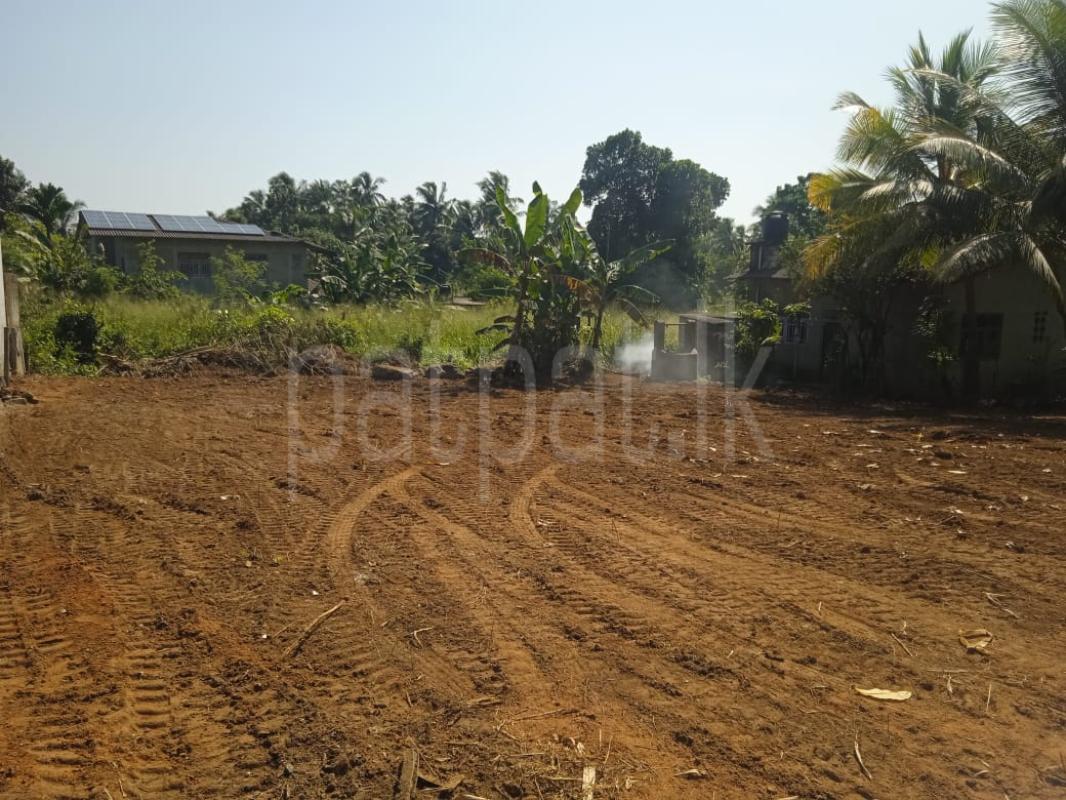 Land for Sale in Bandaragama ads-image-1
