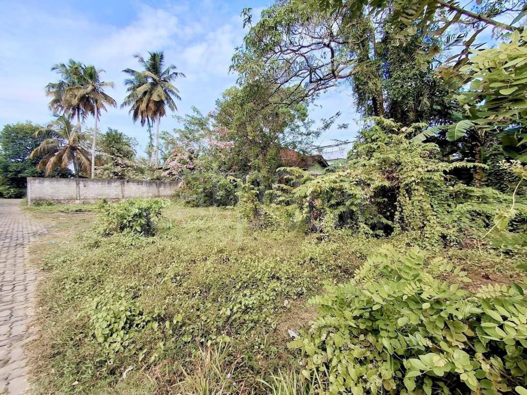 Agricultural Land for Sale in Panadura