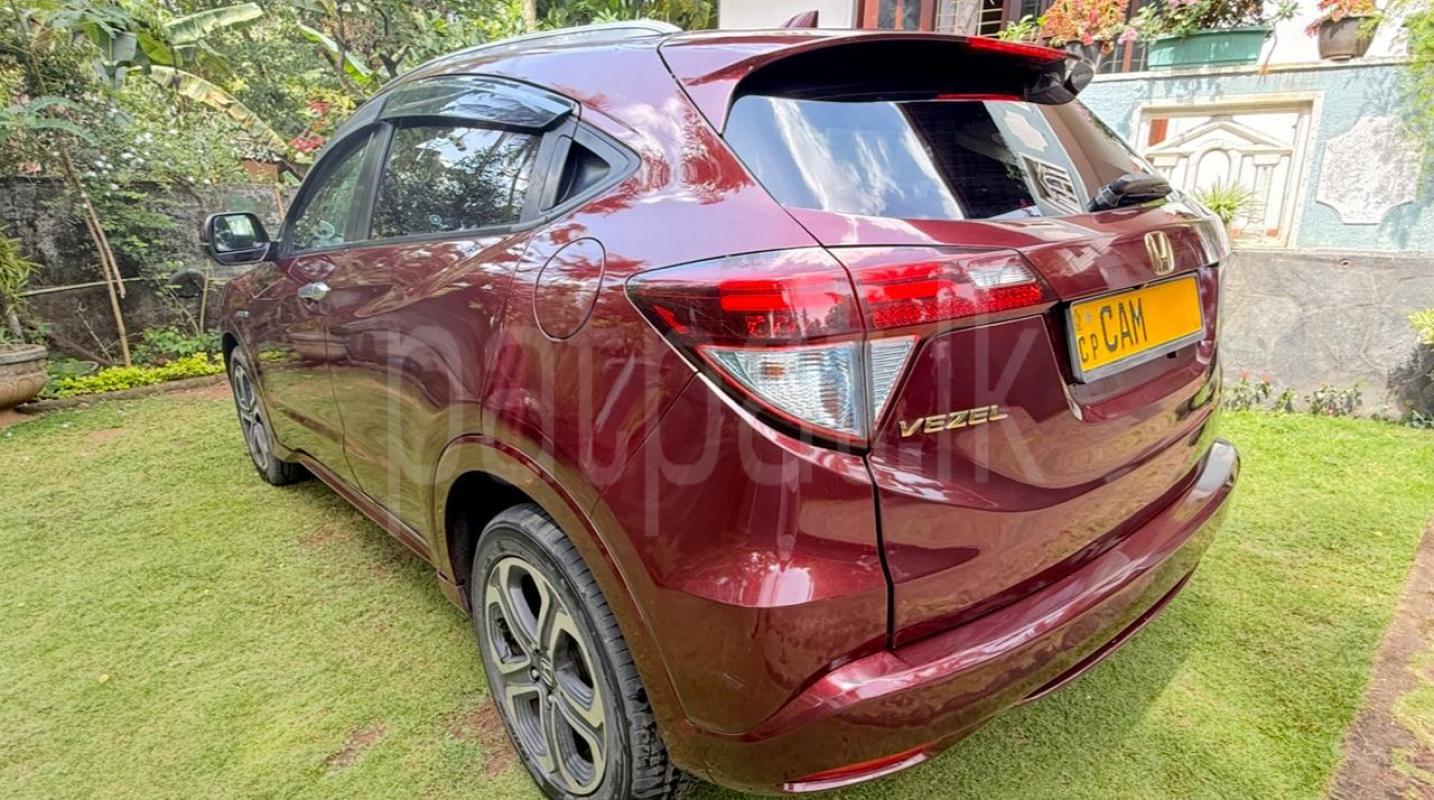 Advertisement image 2