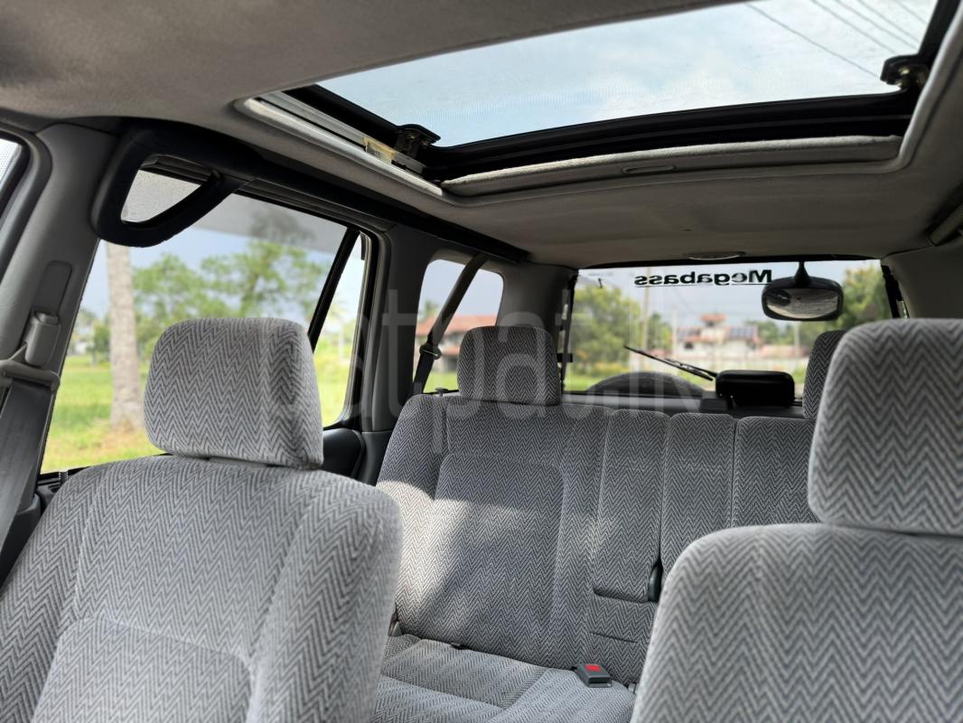 Advertisement image 6