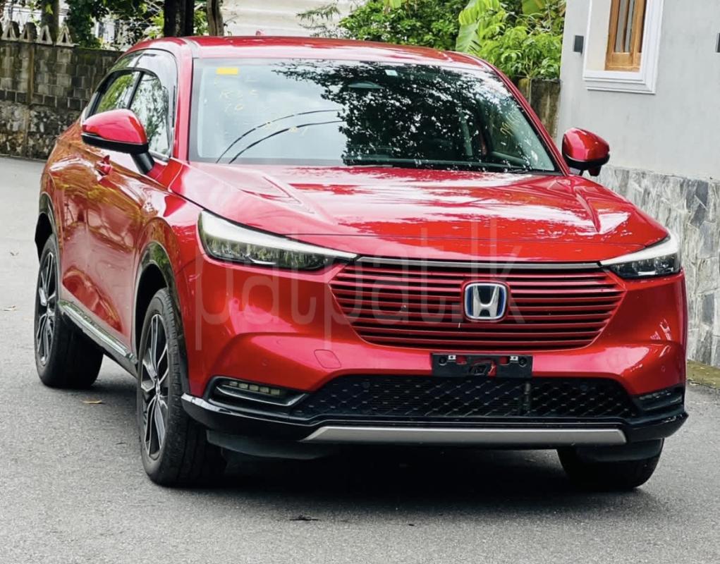 Advertisement image 3