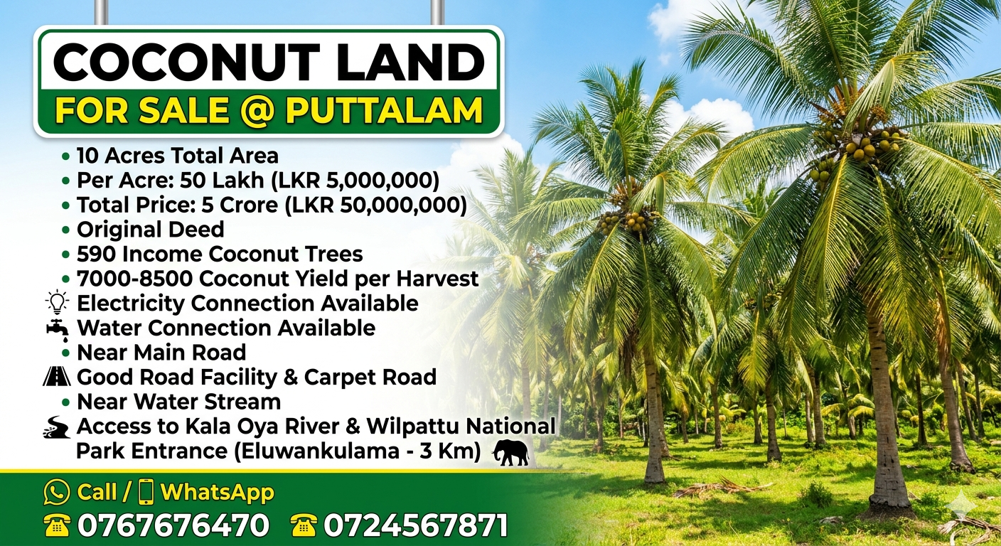 Agricultural Land for Sale in Puttalam