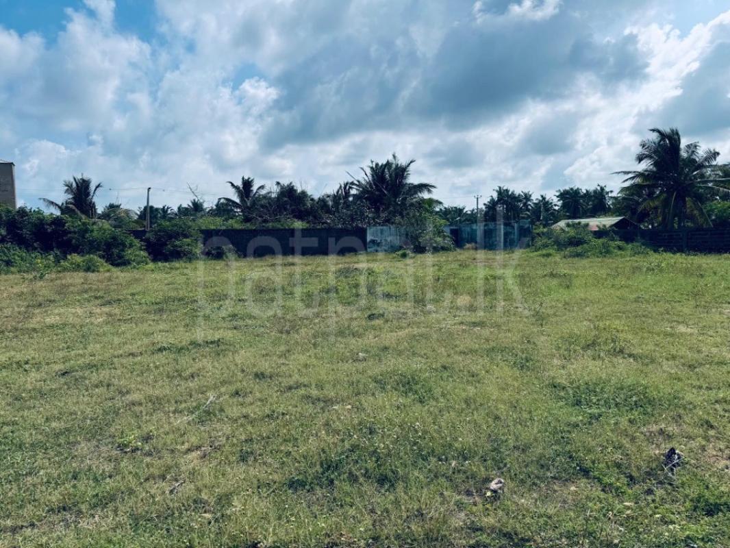Residential Land for Sale in Chilaw