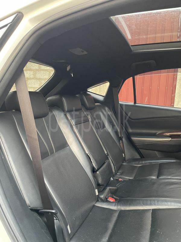 Advertisement image 5