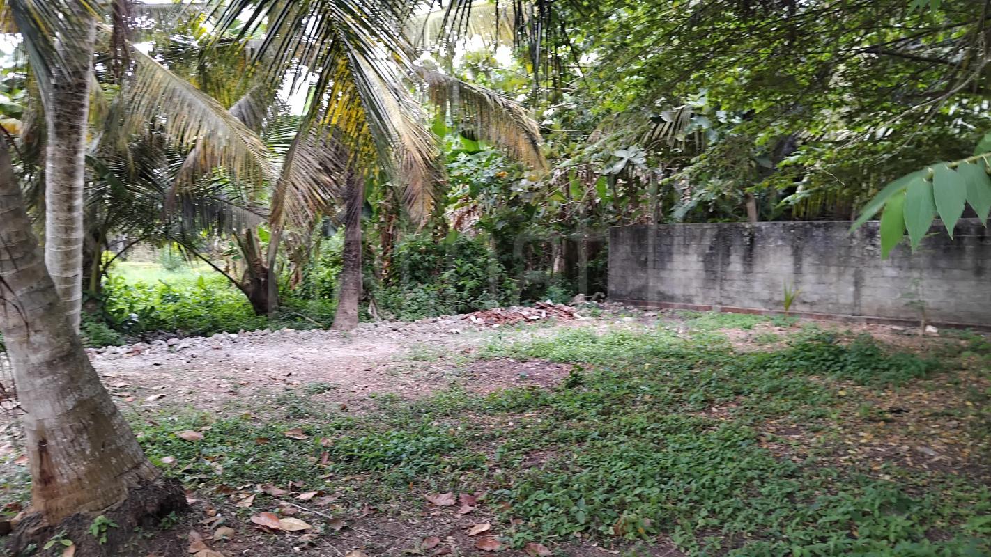 Residential Land for Sale in Negombo ads-image-1