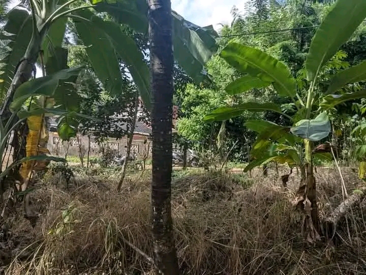 Commercial Land for Sale in Mirigama