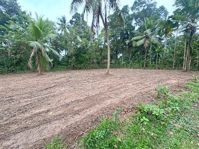 Residential Land for Sale in Minuwangoda