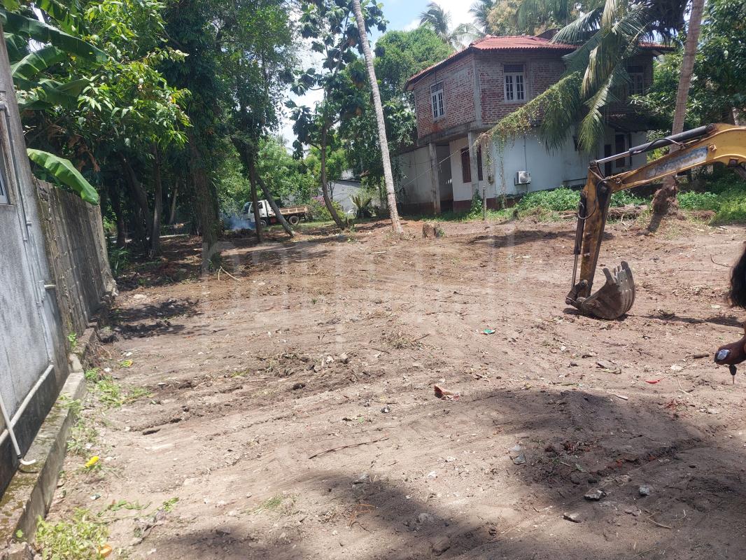 premium-listing-image