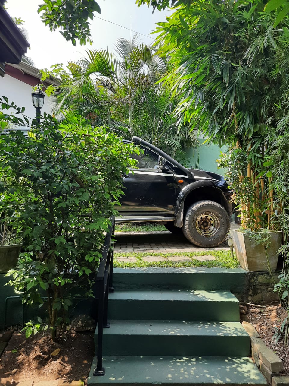 Advertisement image 5