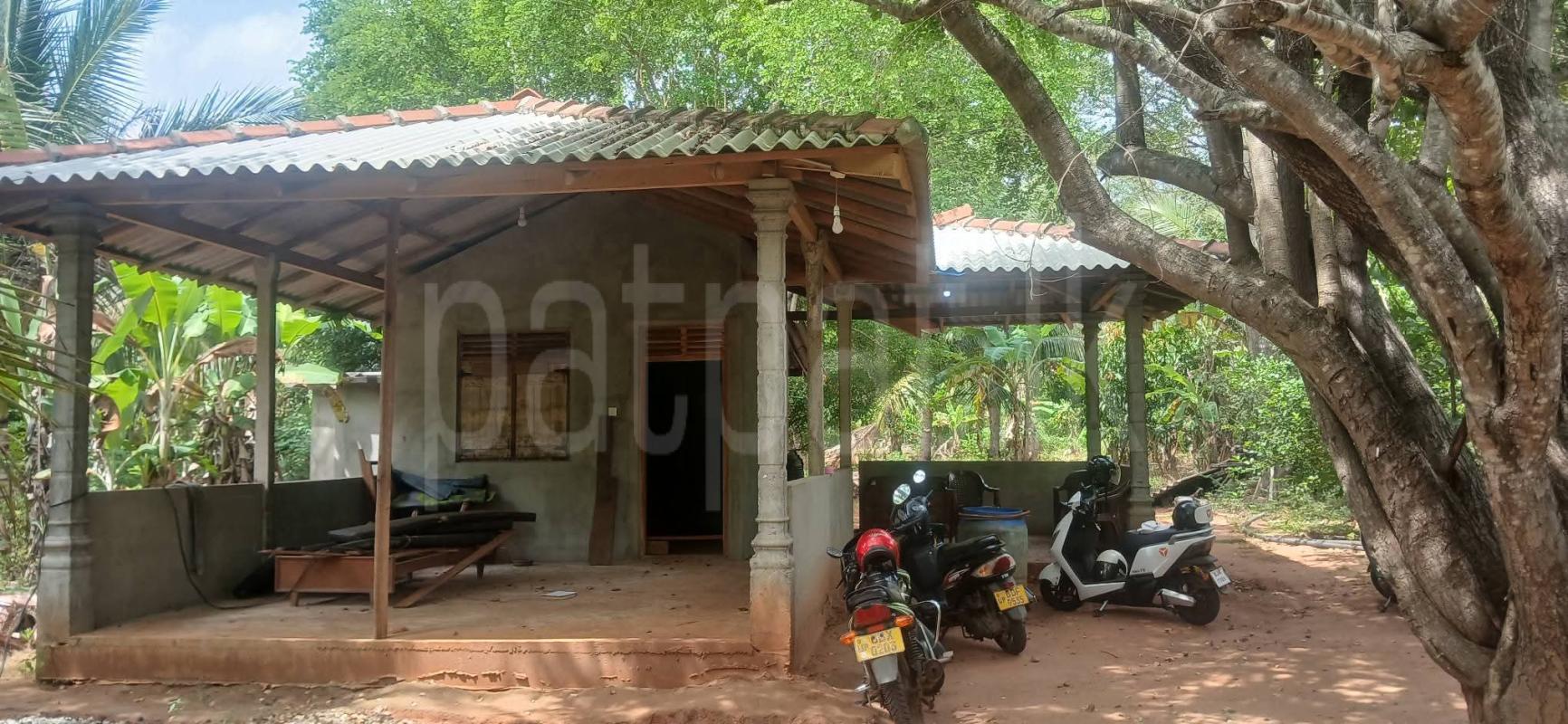 Agricultural Land for Sale in Kataragama