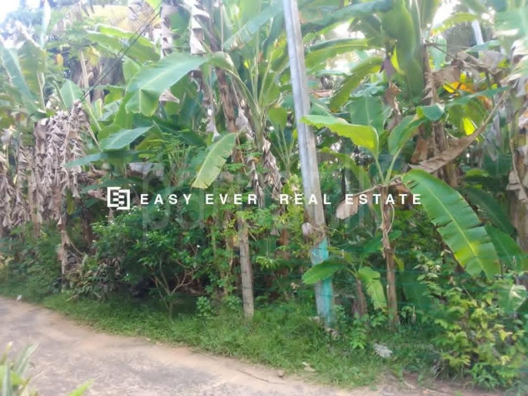 Residential Land for Sale in Hikkaduwa