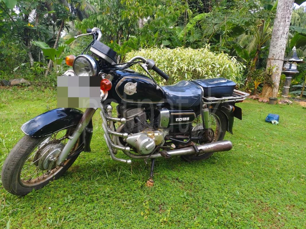 Advertisement image 1