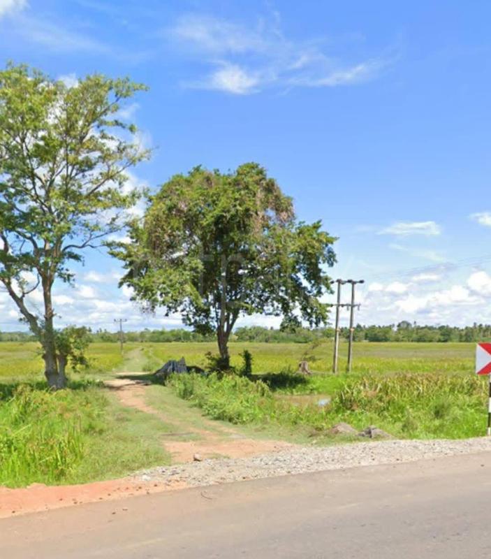 Agricultural Land for Sale in Tangalla