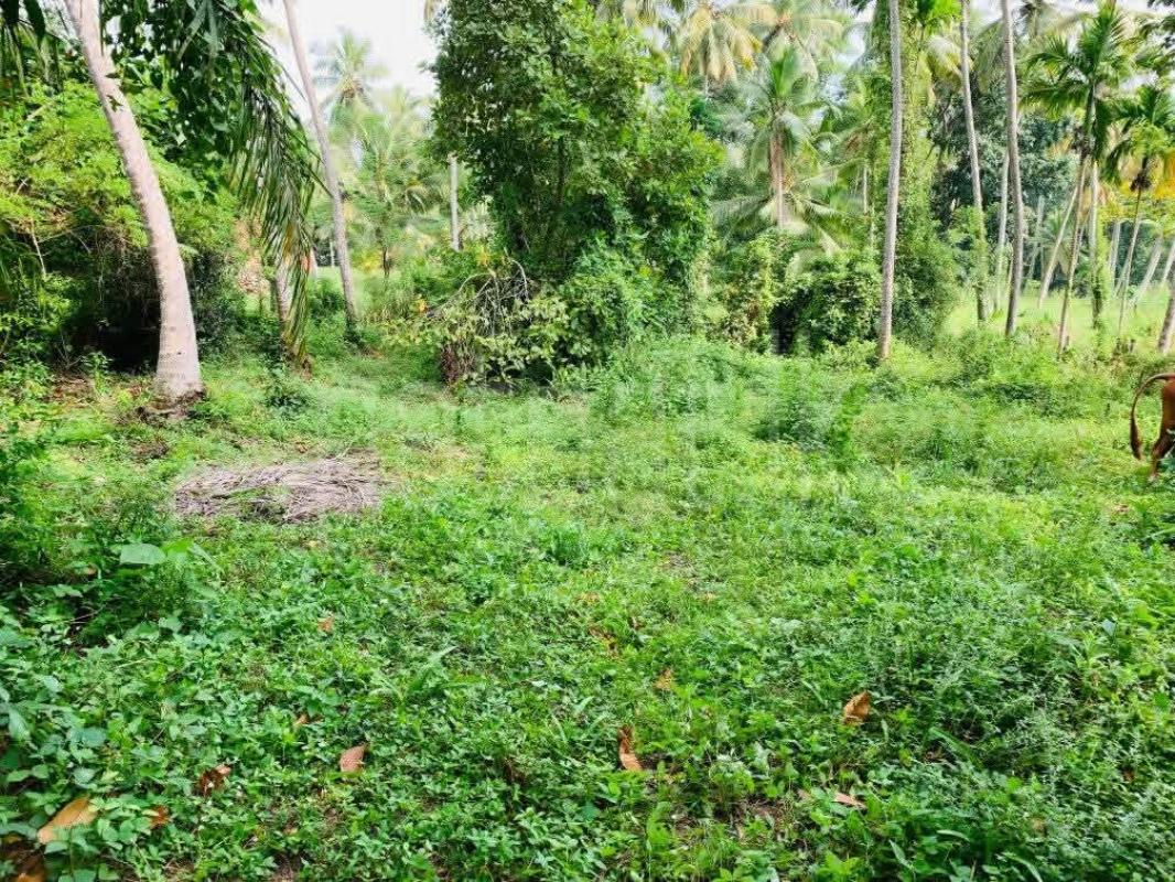 Commercial Land for Sale in Divulapitiya ads-image-1